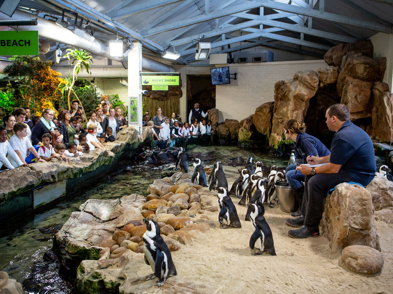 Experience the ocean