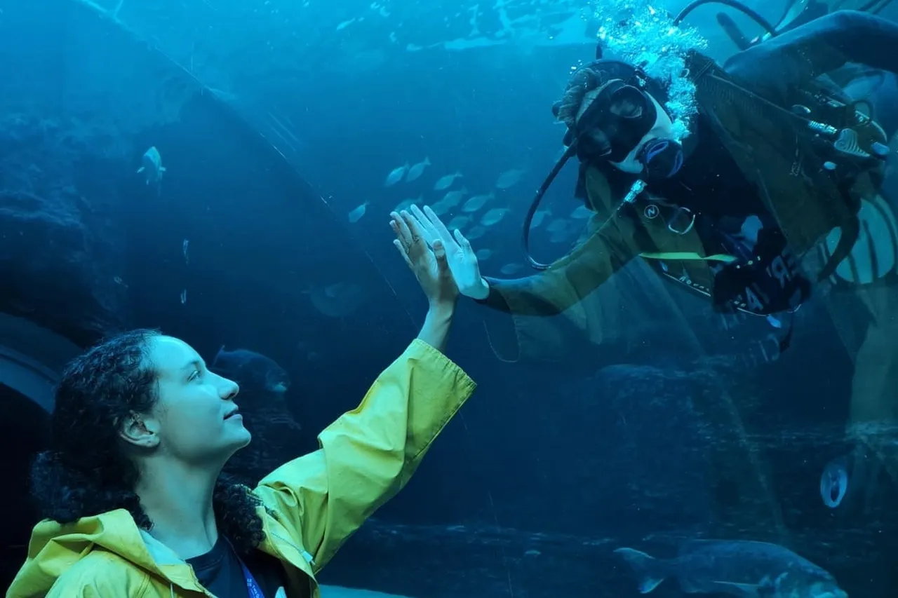 UCT Underwater Club 31