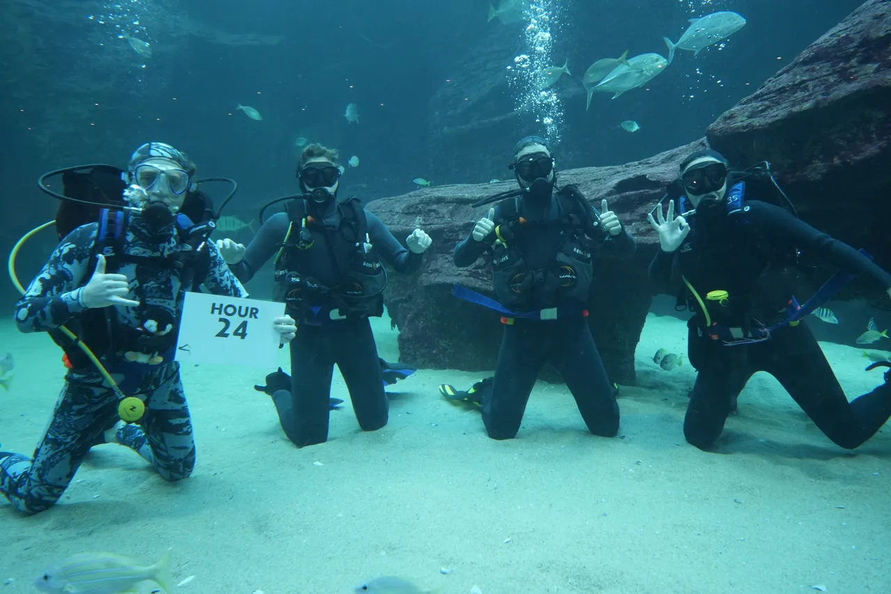 Diver24: UCT divers finish another Aquarium scuba marathon