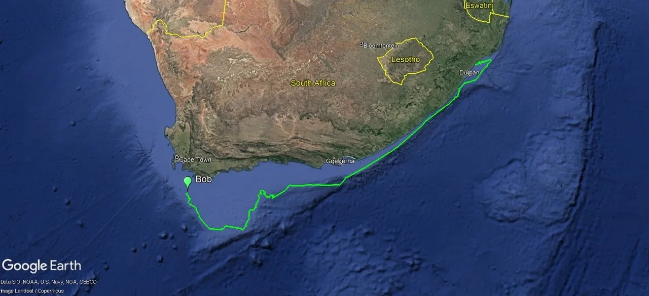 Tracking Bob: 41 days at sea!