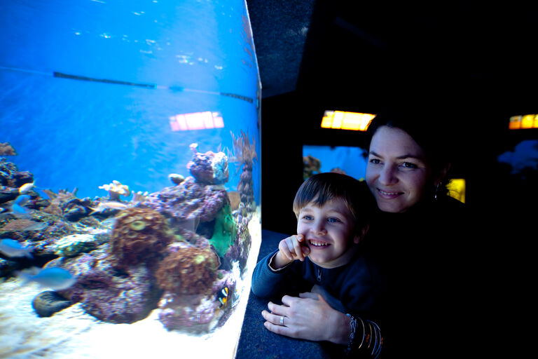 Two Oceans Aquarium Join the Aquarium family Here's how!