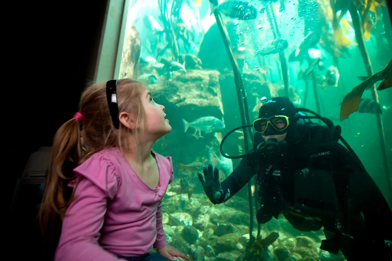 Join the Aquarium family: Here's how!