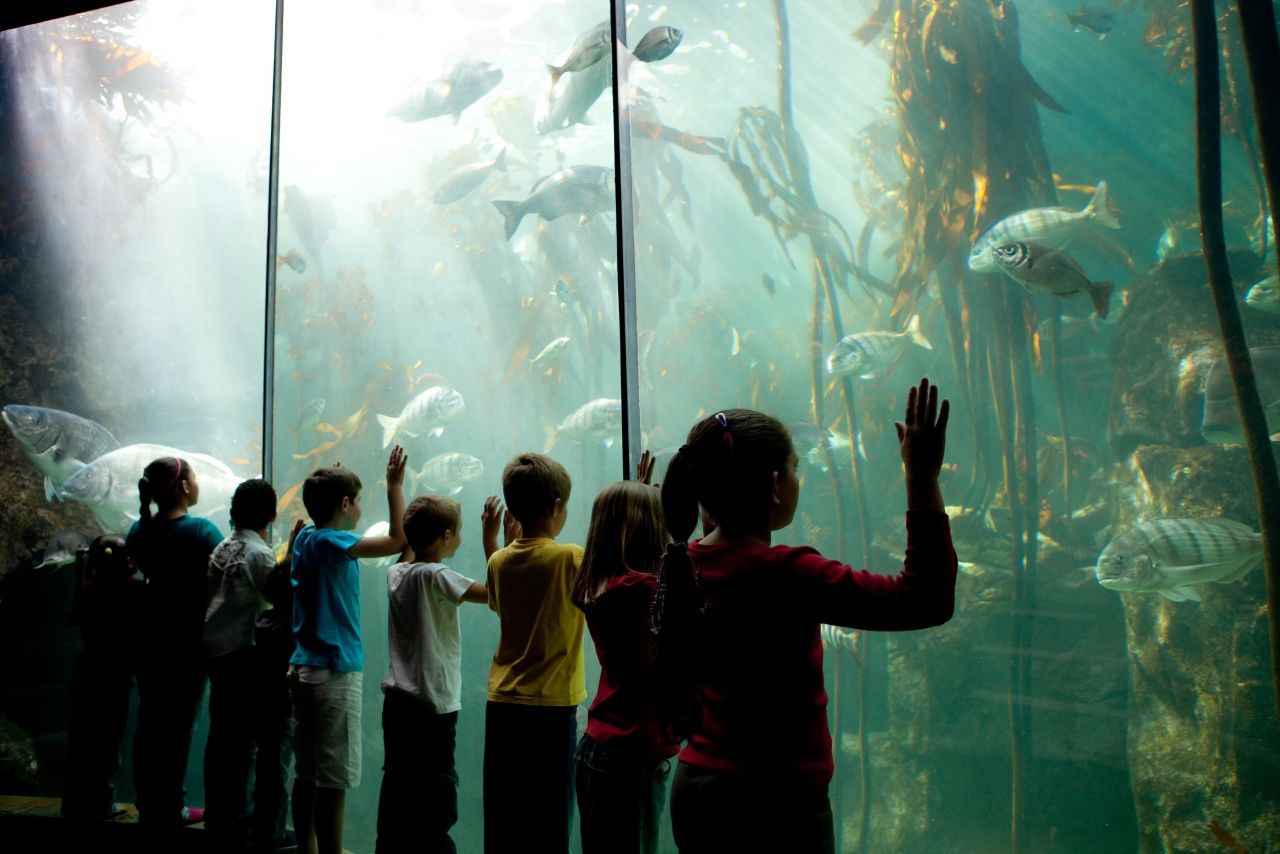 How does the ocean benefit my family (and how can my kids help it in return)?