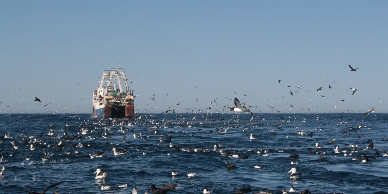 Industrial fishing: Our position statement