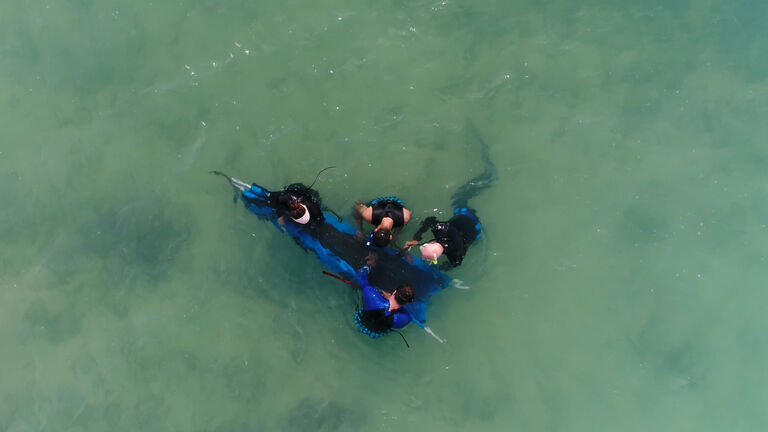 Join us in wishing Dané a fin-tastic farewell!