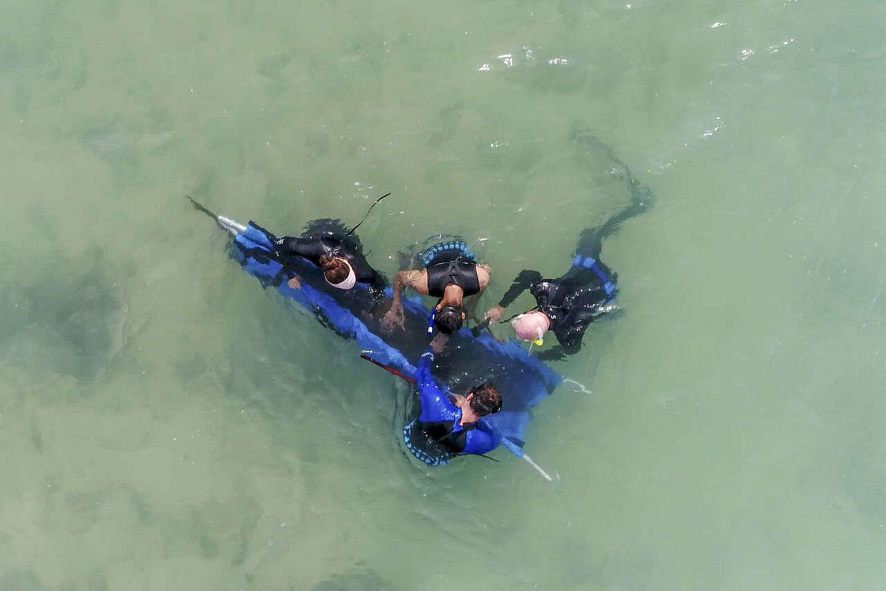 Join us in wishing Dané a fin-tastic farewell!