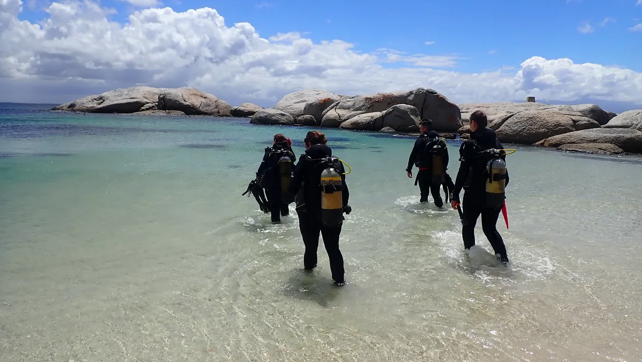 Guided Shore Dives