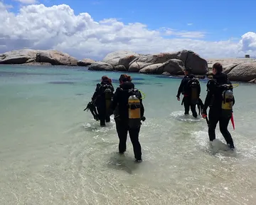 Guided Shore Dives