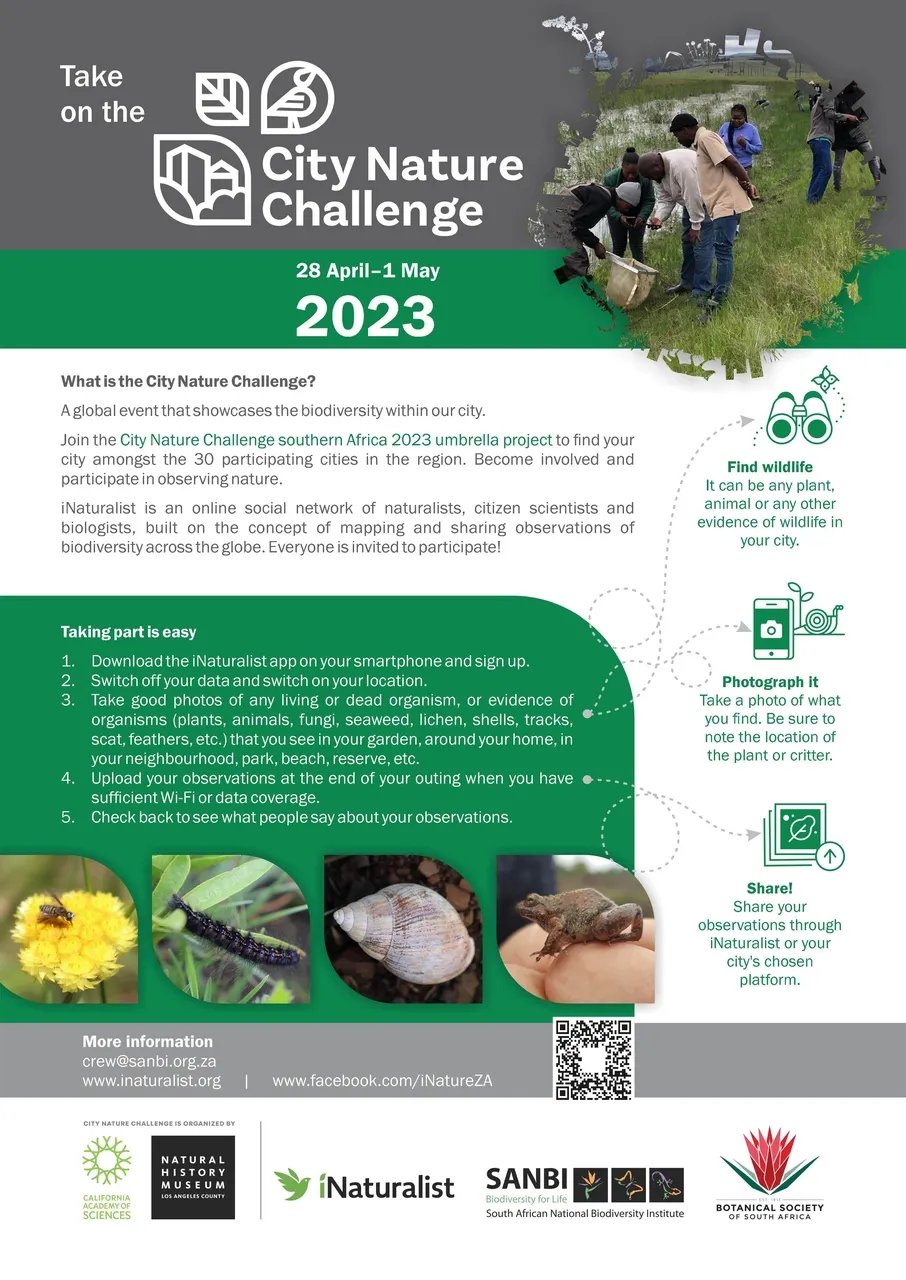 2023 City Nature Challenge poster