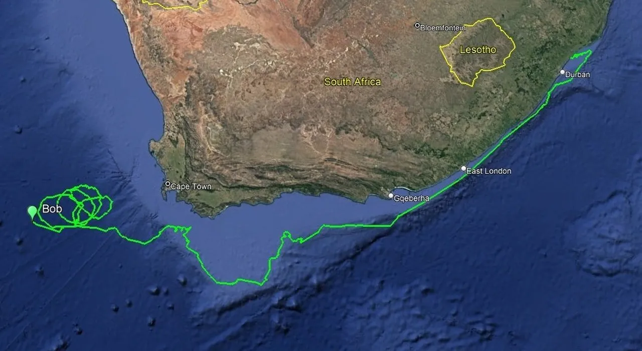 Tracking Bob: Loopy ocean rollercoasters!