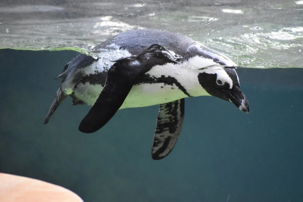 35310145752 8a40b27709 k 8b4d6721ce7a5a4052f3c07d20423959 1