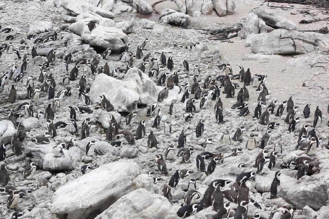 5297147279 0633a4d5b6 o 8b4d6721ce7a5a4052f3c07d20423959