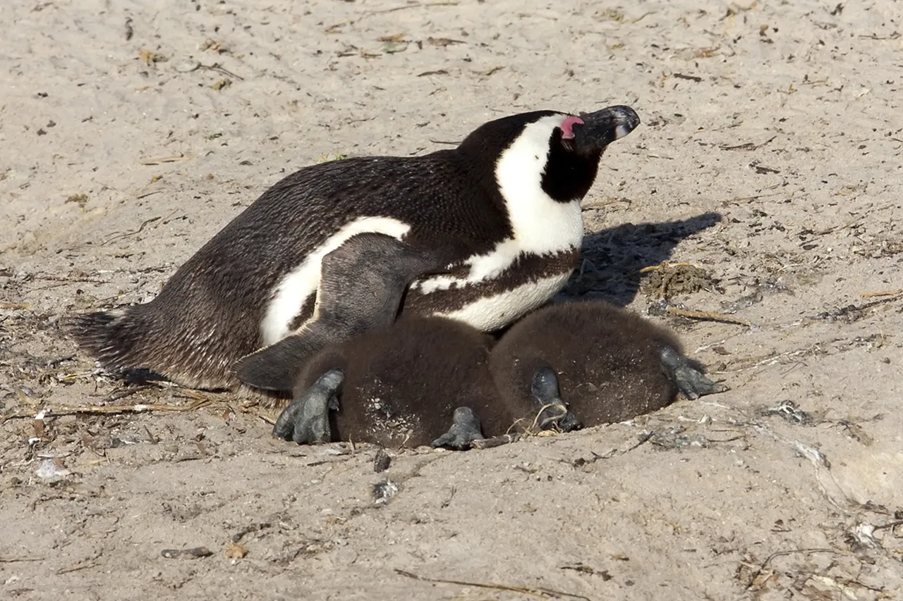 14993176552 856e169964 o