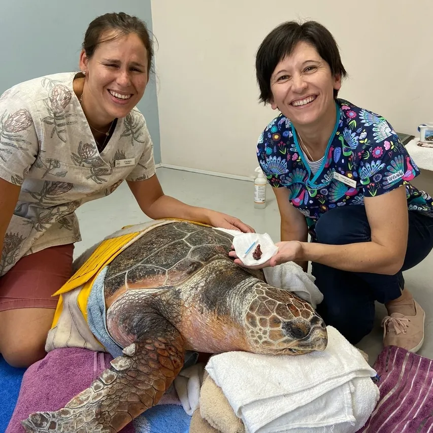 5357 FCD2 57 FA 48 E3 A8 C0 25533 B0 B8 B97 copy