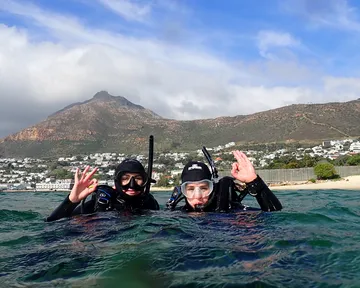Guided Boat Dives