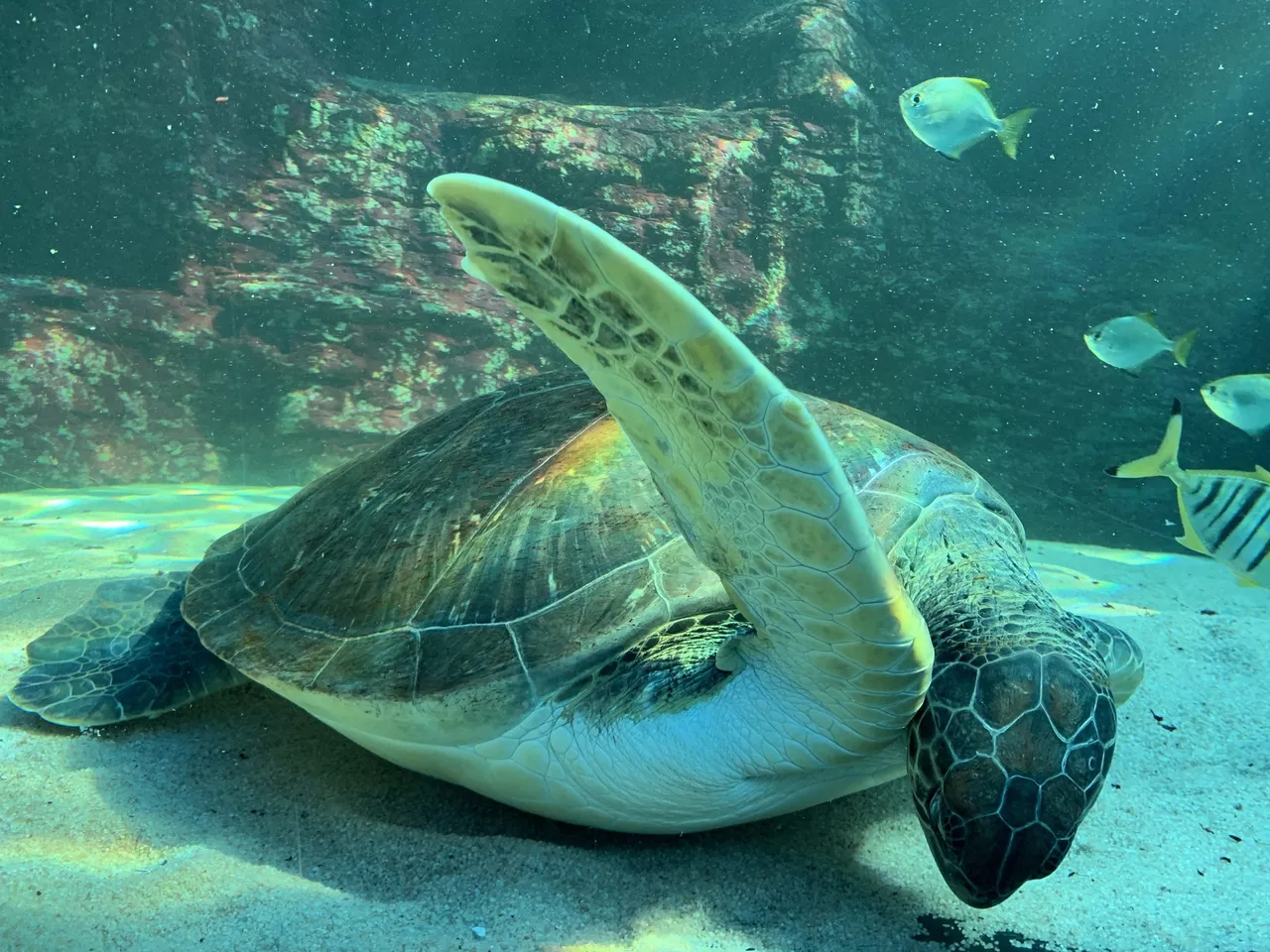 Breaking news: Bob is a girl!