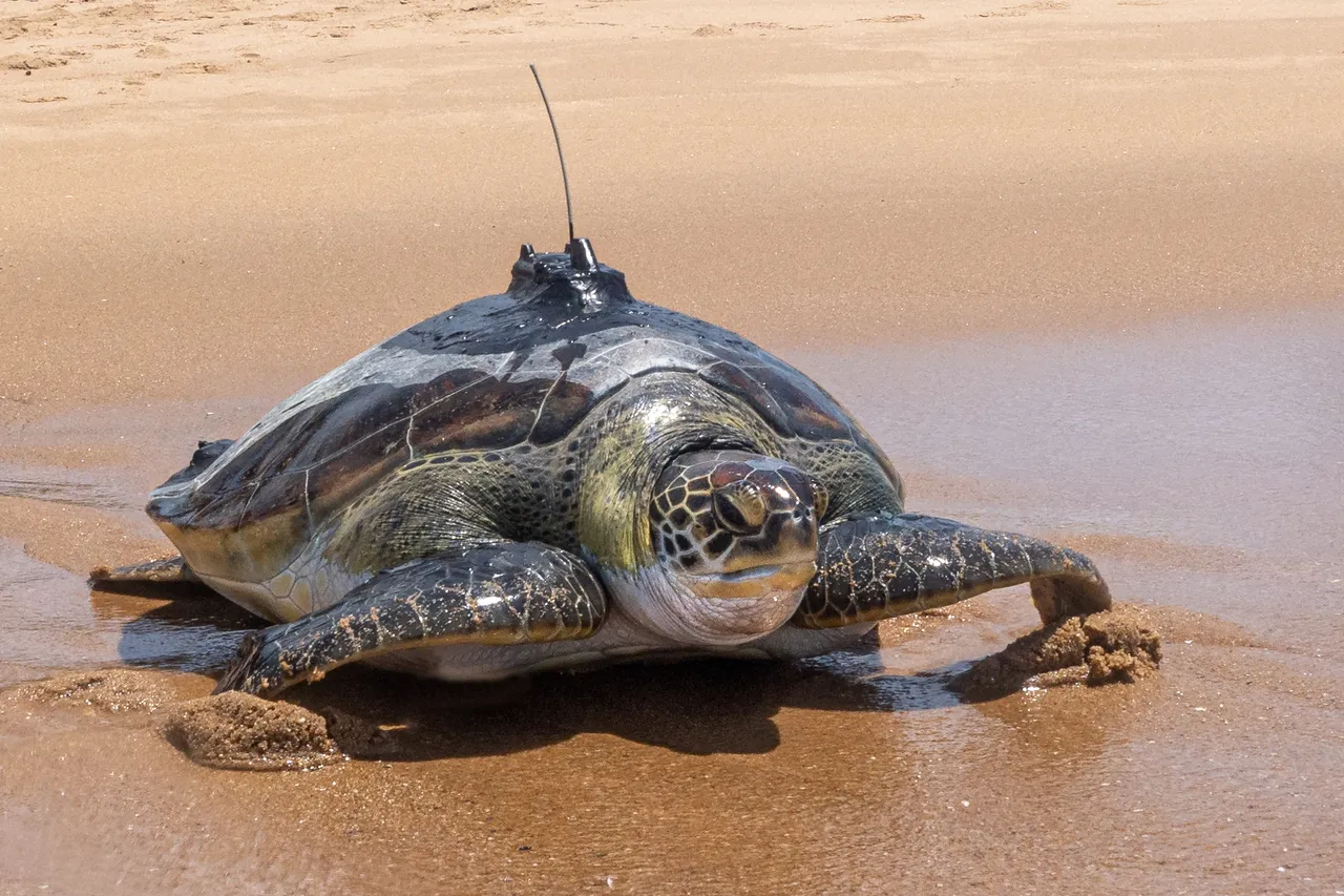 Bob202301271476 Edit copy