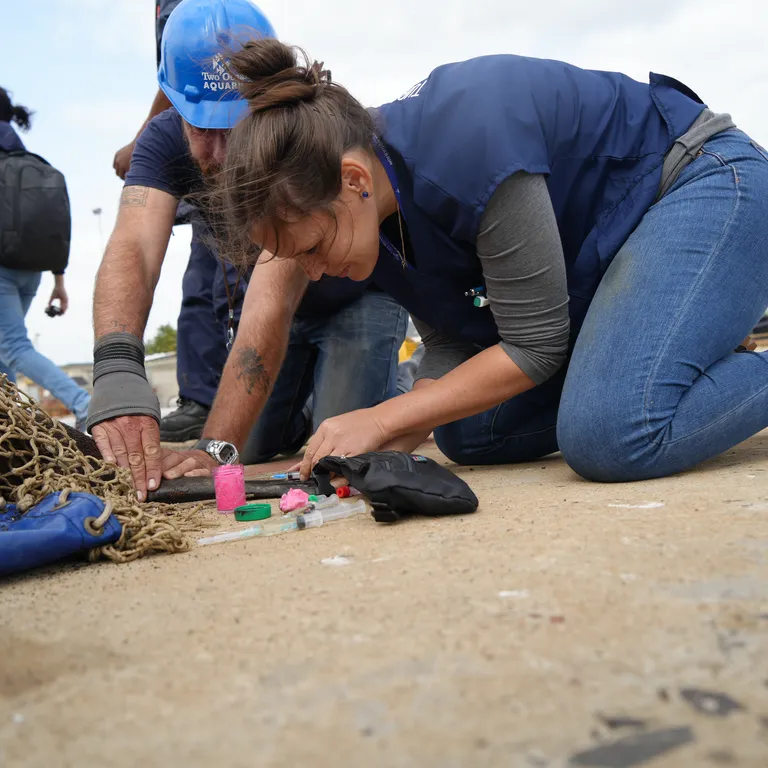 Marine Wildlife Management Programme