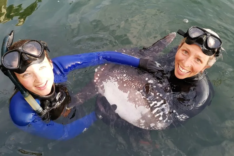 Marine Wildlife Management Programme