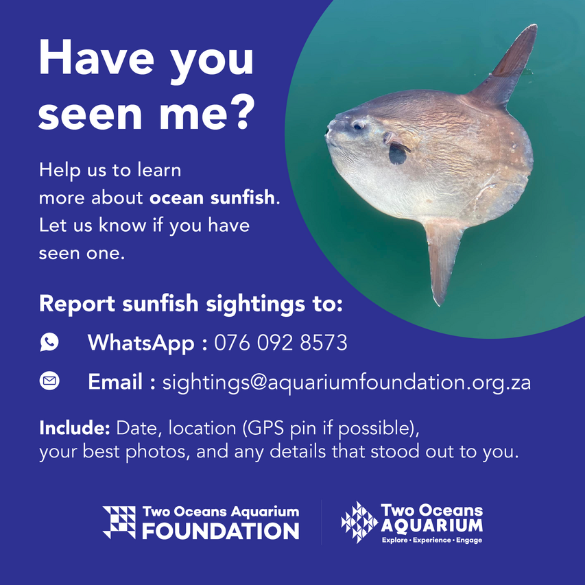 SUNFISHSTRANDING TOA 2023 POST3