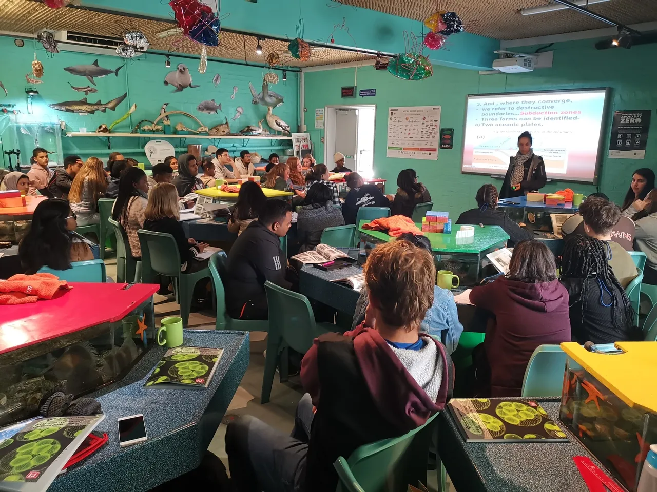 Marine Sciences at the Two Oceans Aquarium: All you need to know