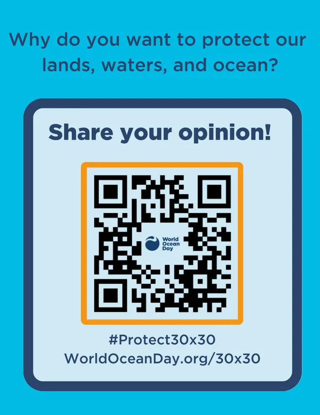 Share your opinion 30 30 Poster