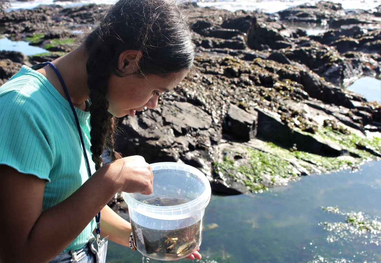 Take a dive into exciting ocean courses from Grades 7-12 this school holiday