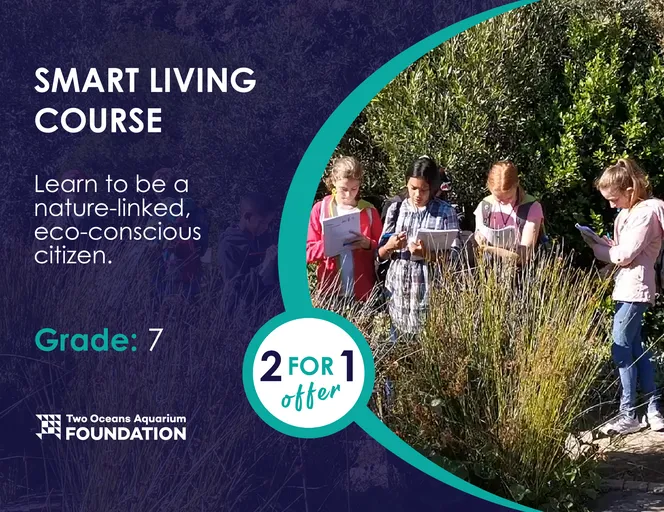 Take a dive into exciting ocean courses from Grades 7-12 this school holiday