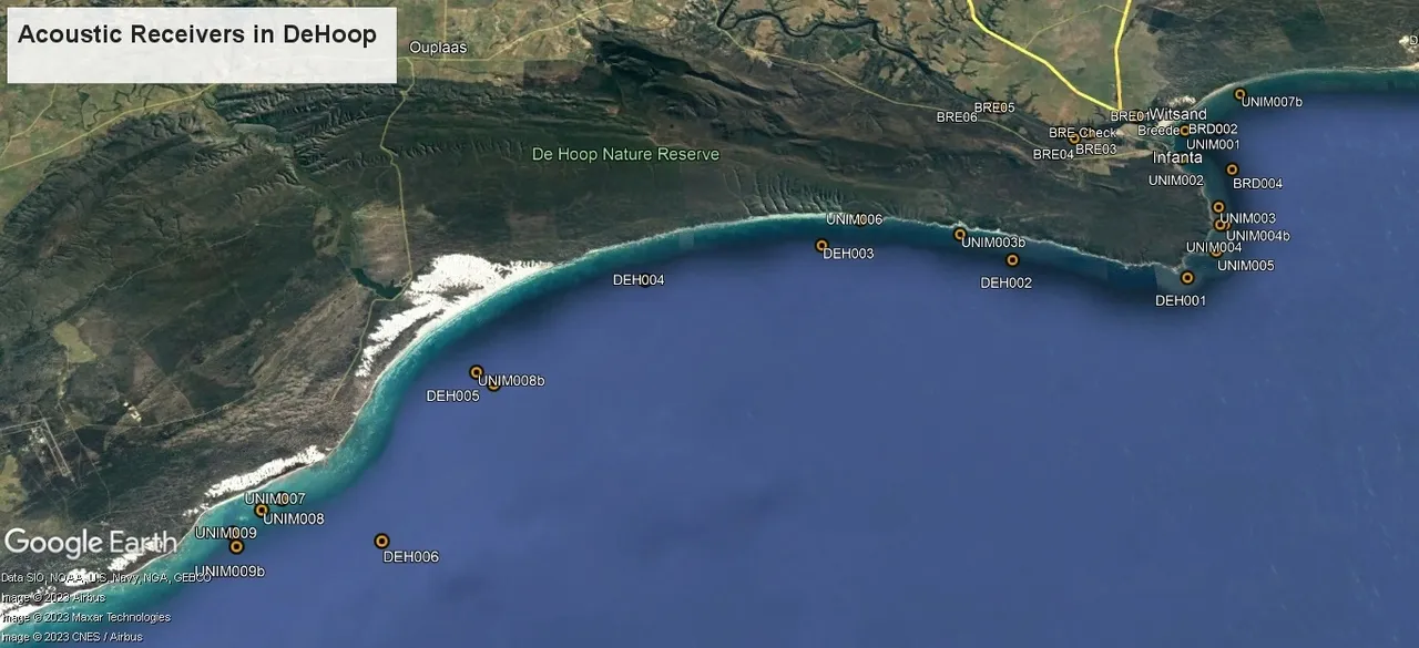 De Hoop Acoustic Receivers