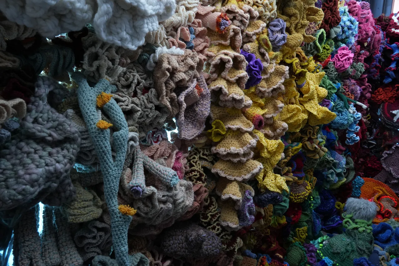 Coral in crochet: Our new installation