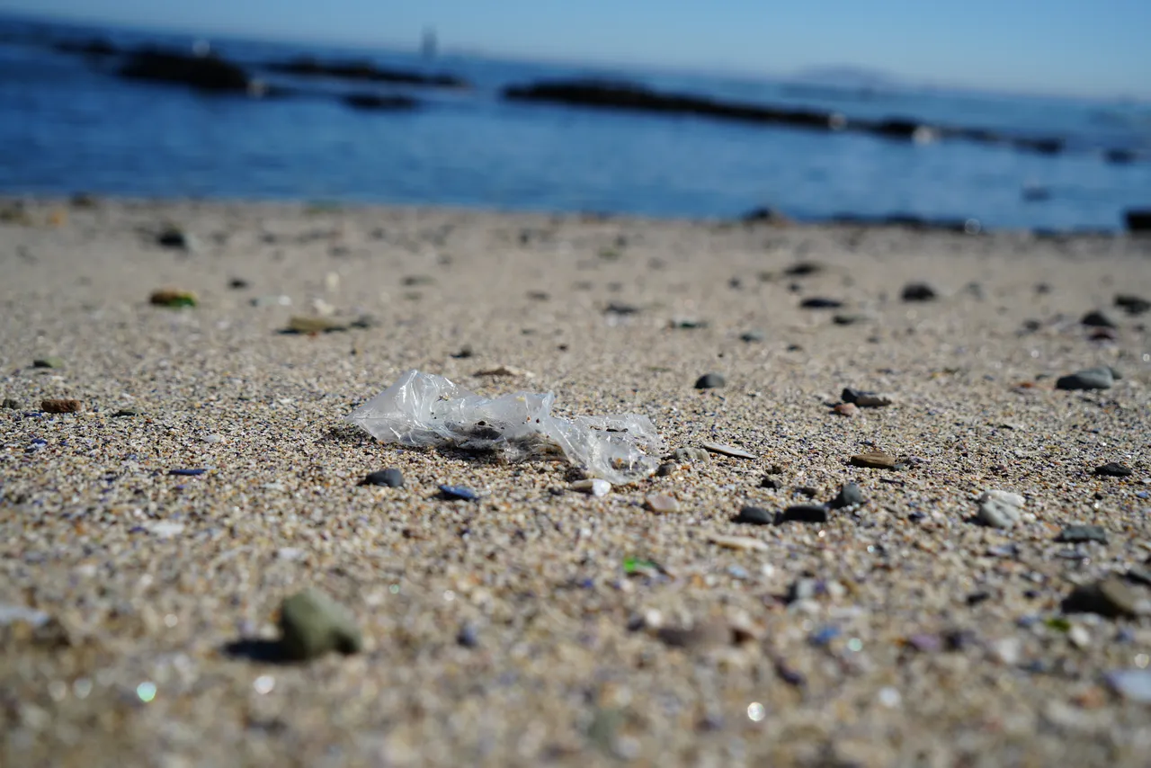 Going Plastic-Free: How can I help?