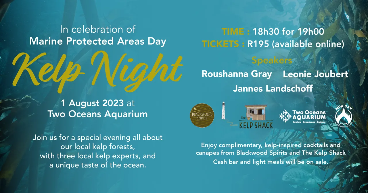 KELPNIGHT TOA 2023 02