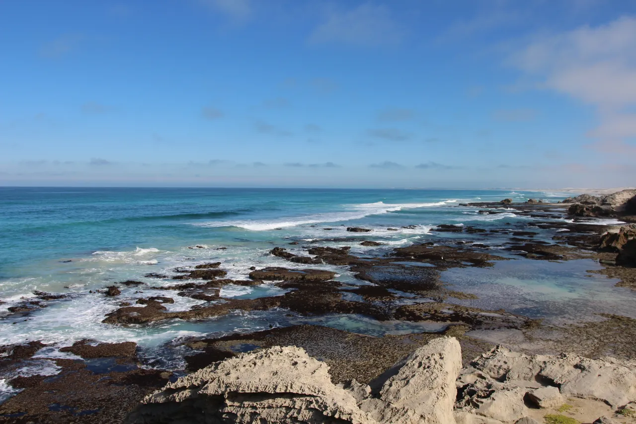 Wine, Whales, and Music with Brett Glasby