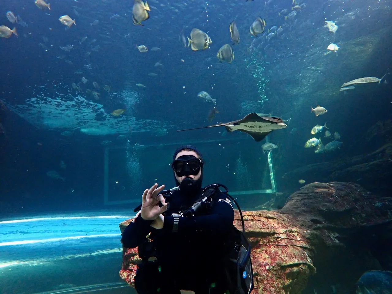 Happy PADI Women's Day!