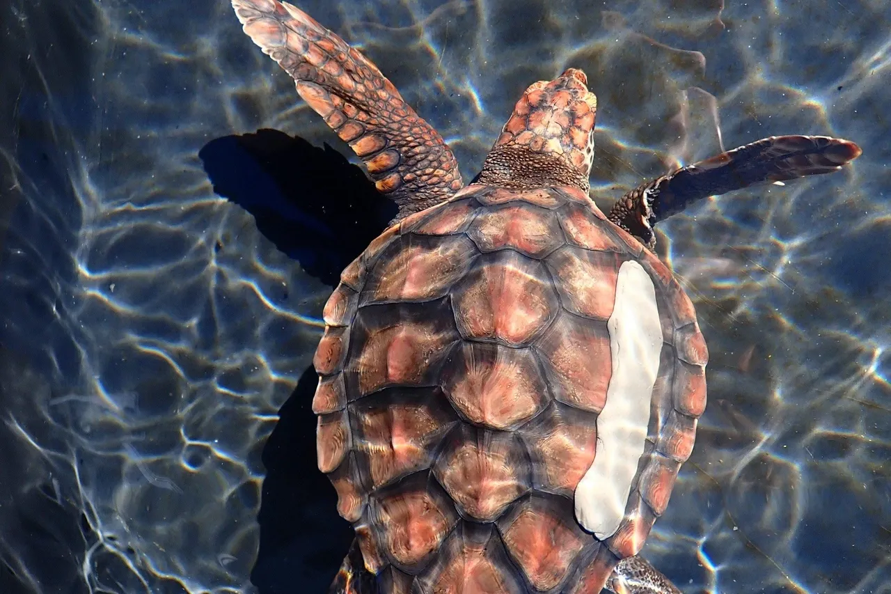 9 C9569 C8 D6 AB 49 EC 8 FEB B78 EAFDA8 E34