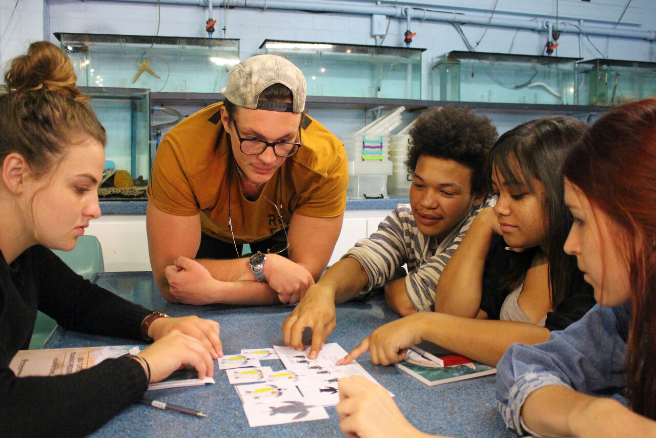 Become an Aquarium volunteer