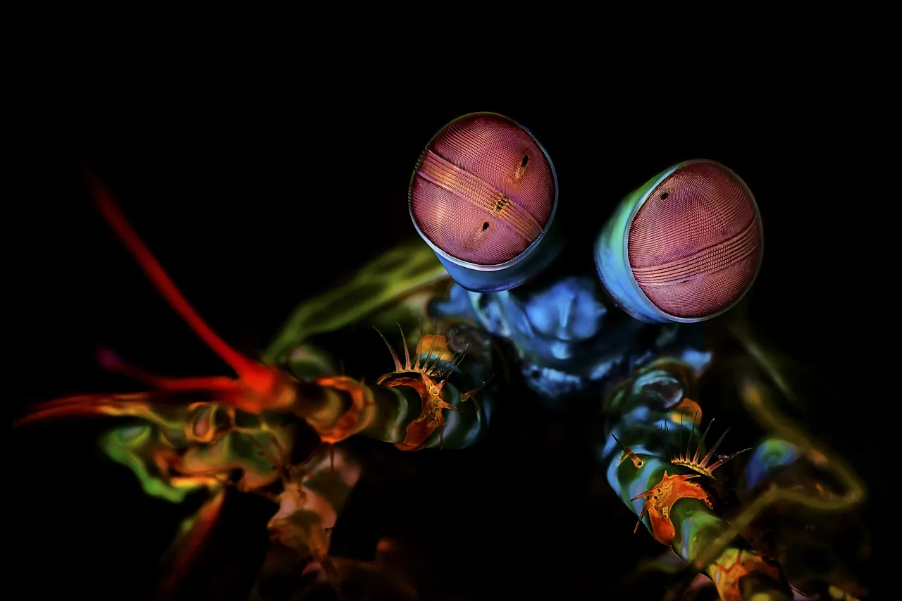 Ocean Image Bank Beth Watson 03