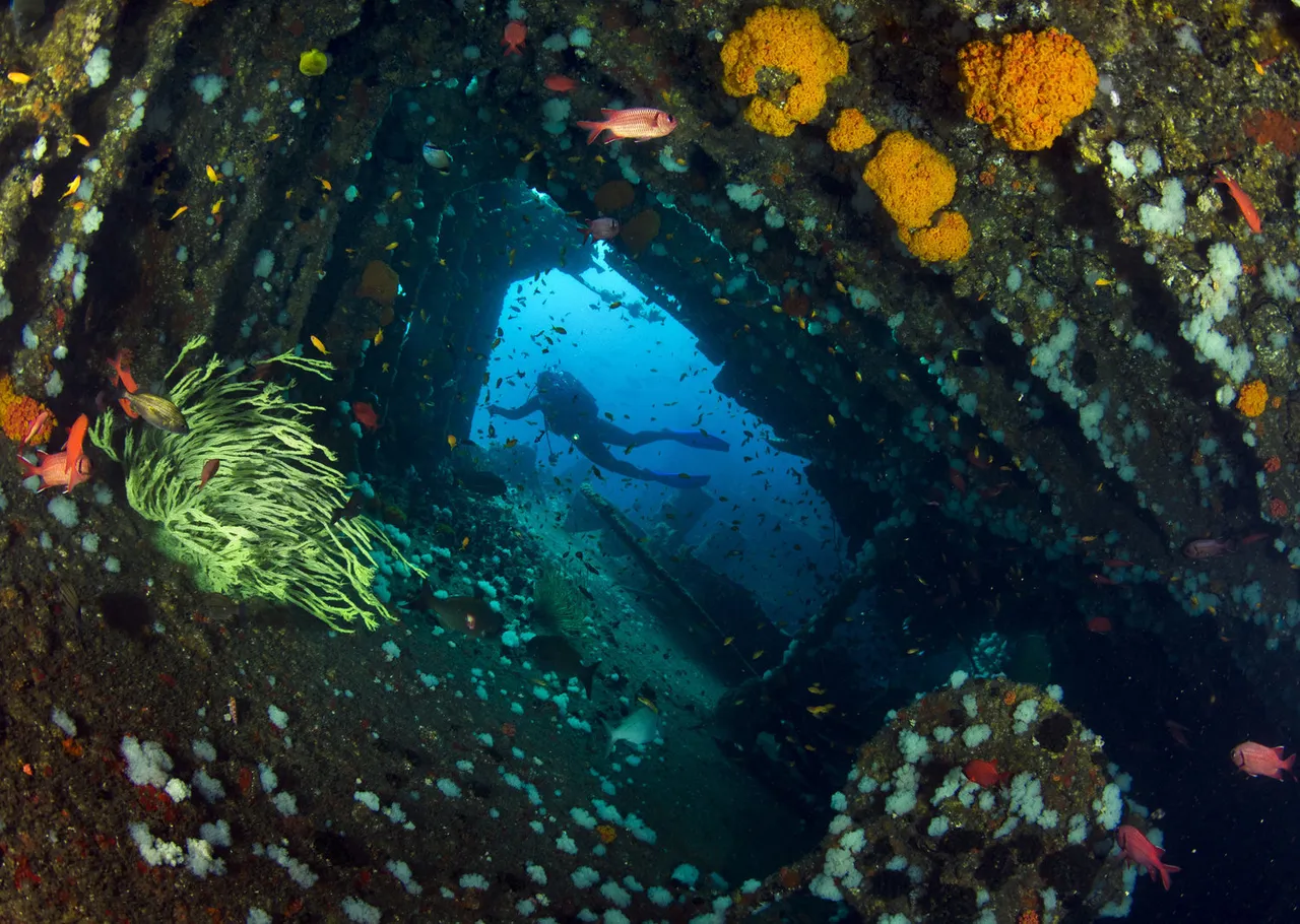 10 reasons why Marine Protected Areas matter