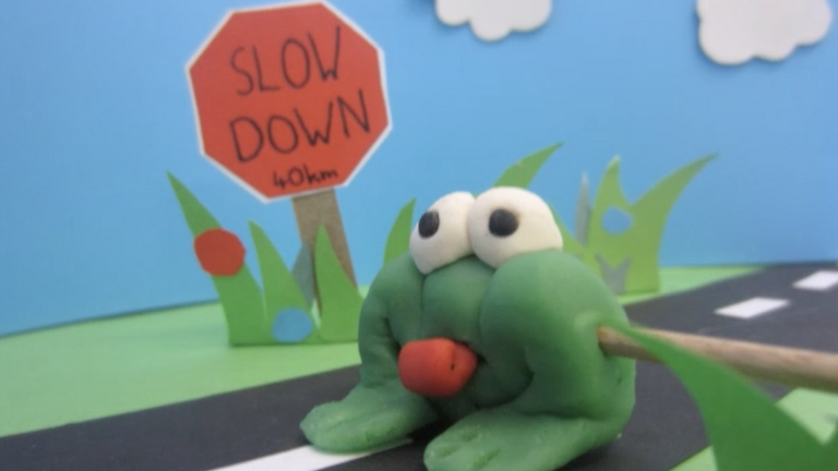 Why did the Western leopard toad cross the road?