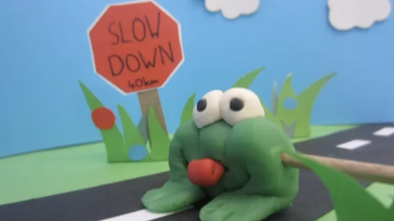 Why did the Western leopard toad cross the road?