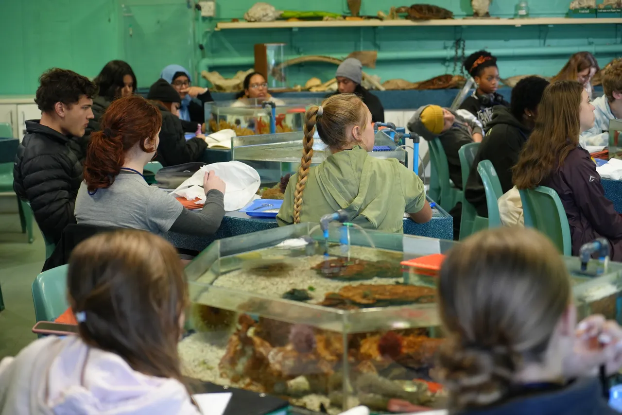 Why should I take Marine Sciences?