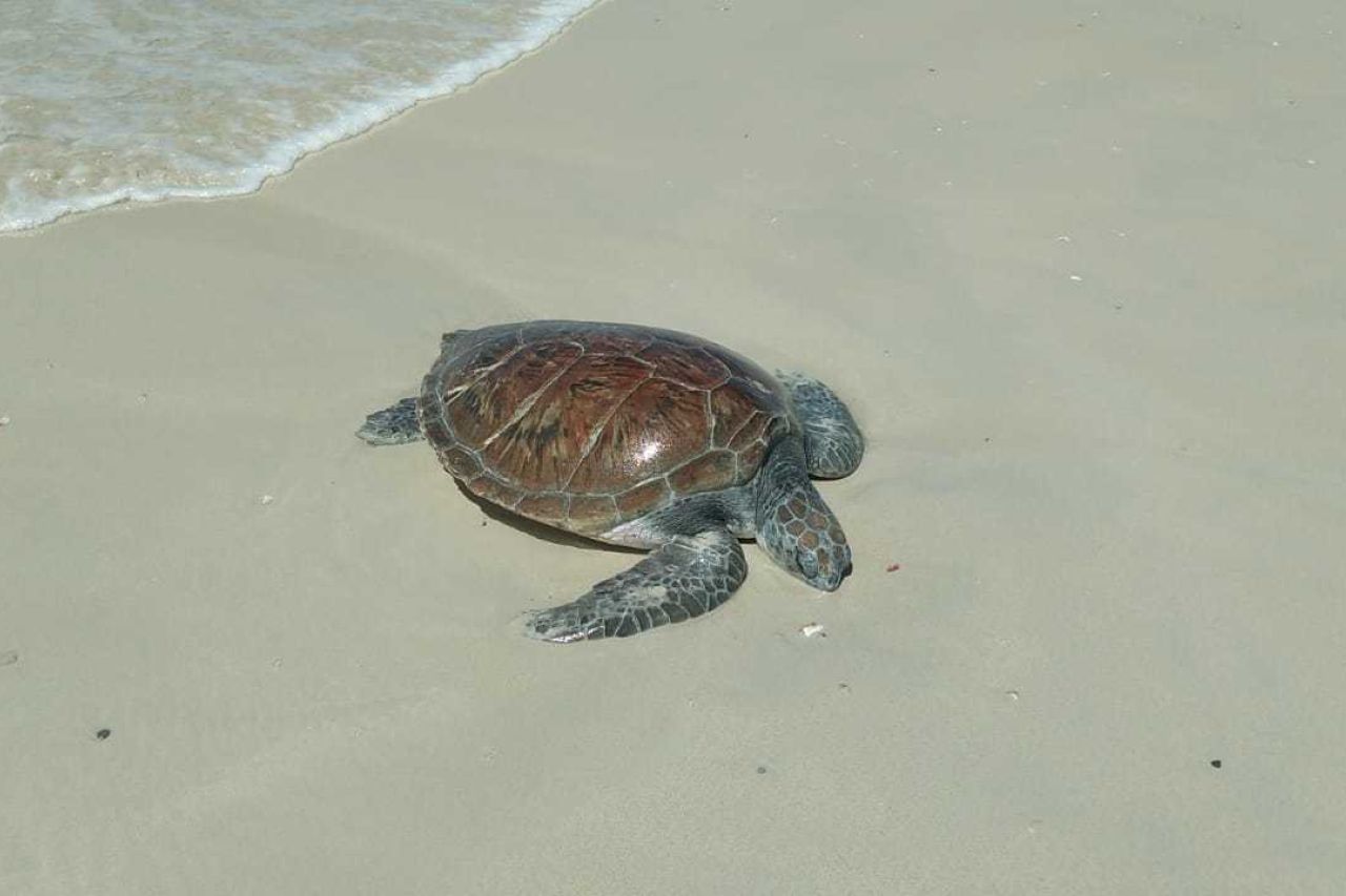 4bedee52 3b92 4951 ae25 c7df374243f7