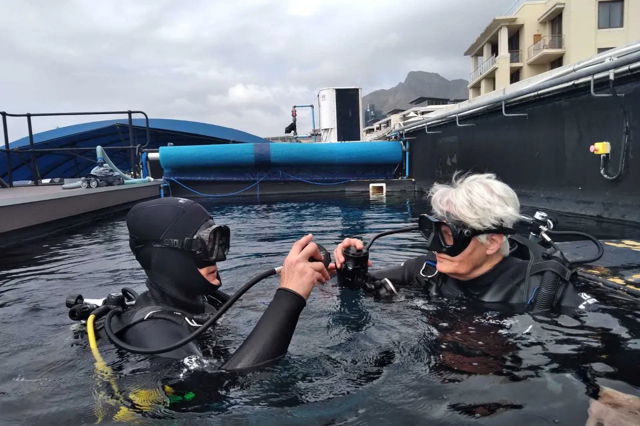 14697b7c 9d1a 4bfe 8096 8652ad4db7aa