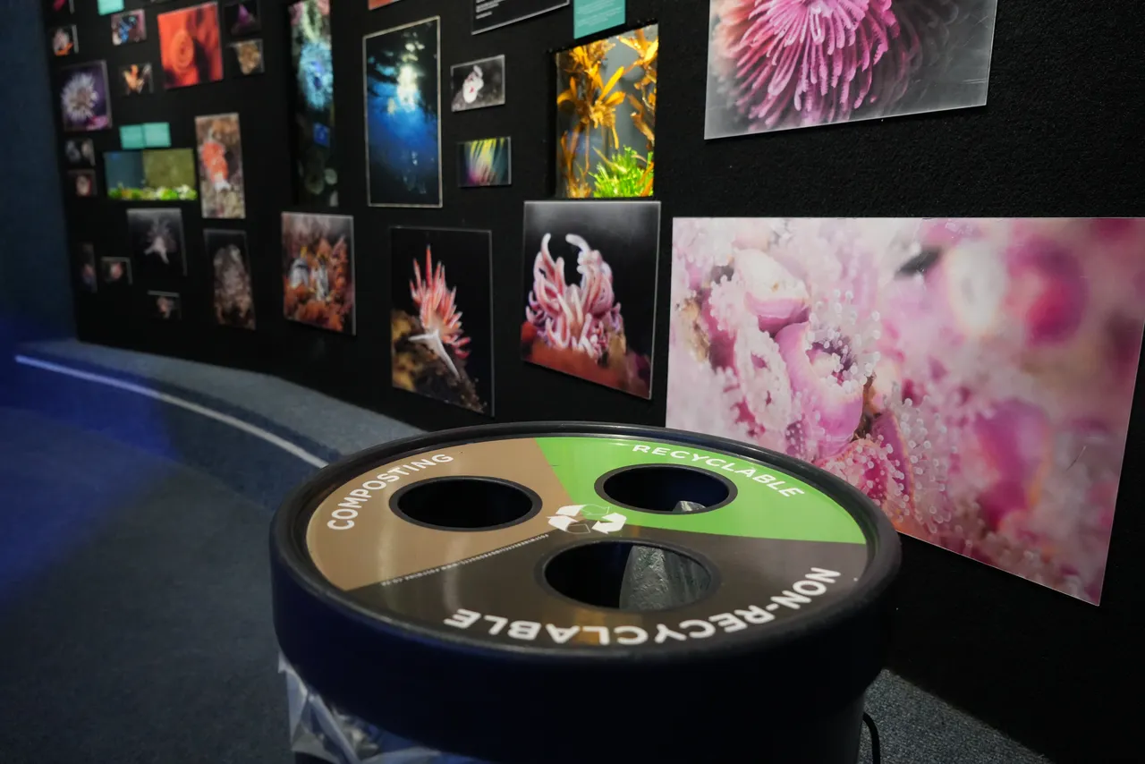 Reduce, reuse, recycle: Happy National Recycling Day!