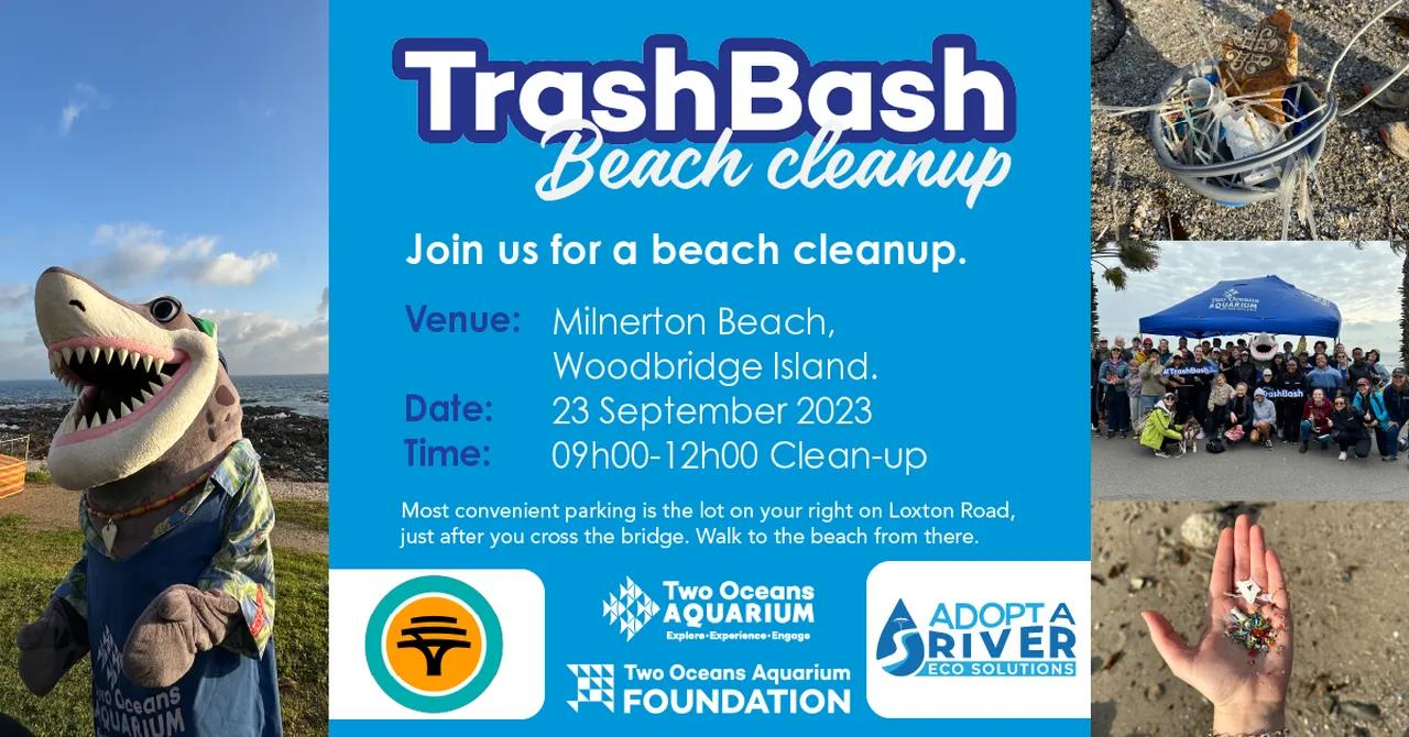 Join us! FNB Beach Clean-up Initiative takes to KZN and WC beaches this Saturday