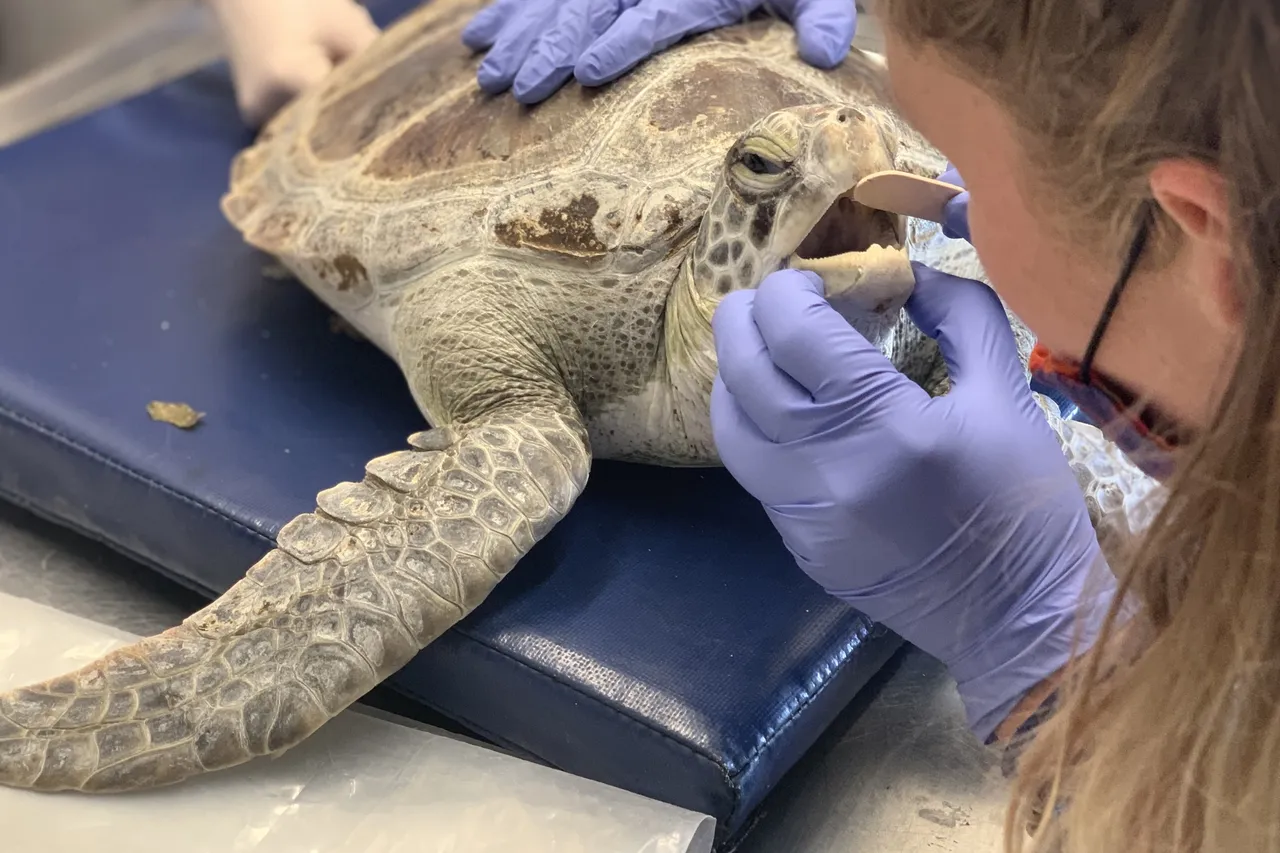 0208533 A 65 FB 47 D8 8647 13 B10330 E630