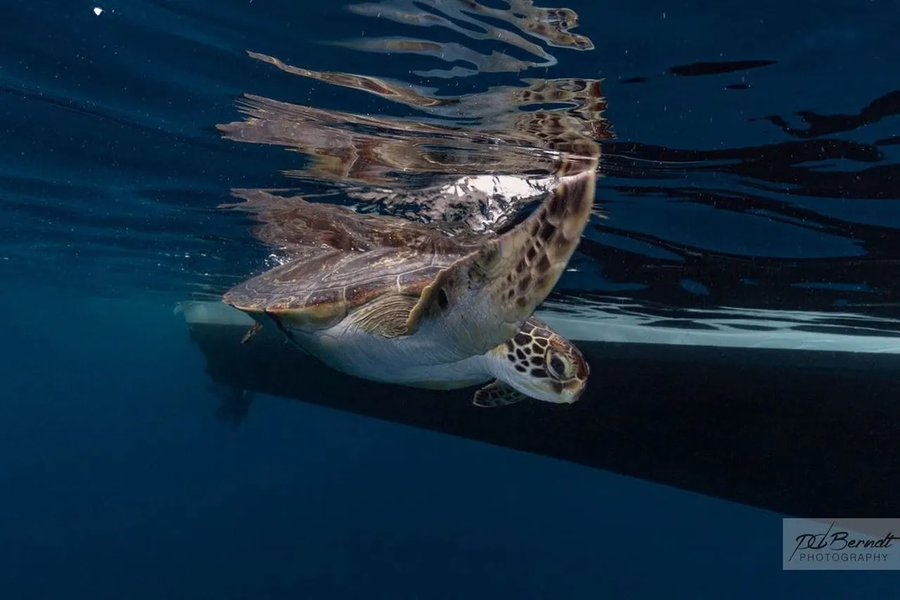 4359 C63 F F050 41 EA 80 F7 A0049 E5 F0 B8 D