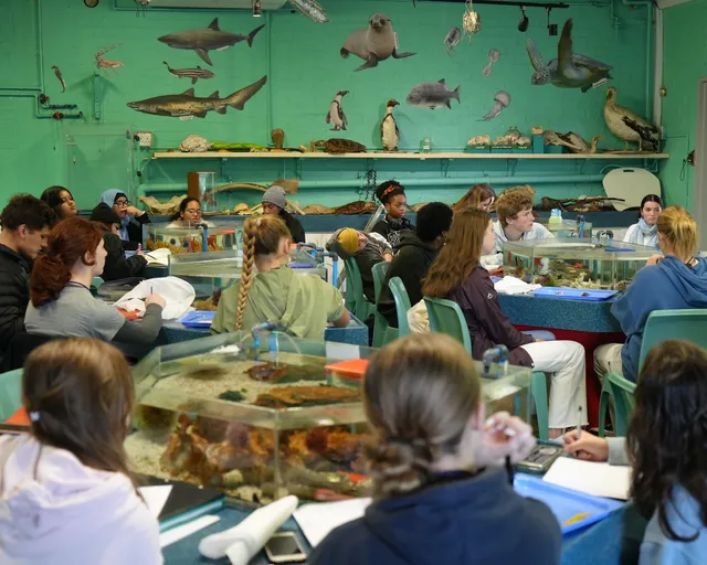 Ocean Campus Courses