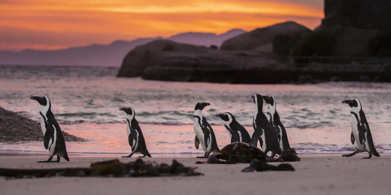 Biodiversity crisis: Our position statement