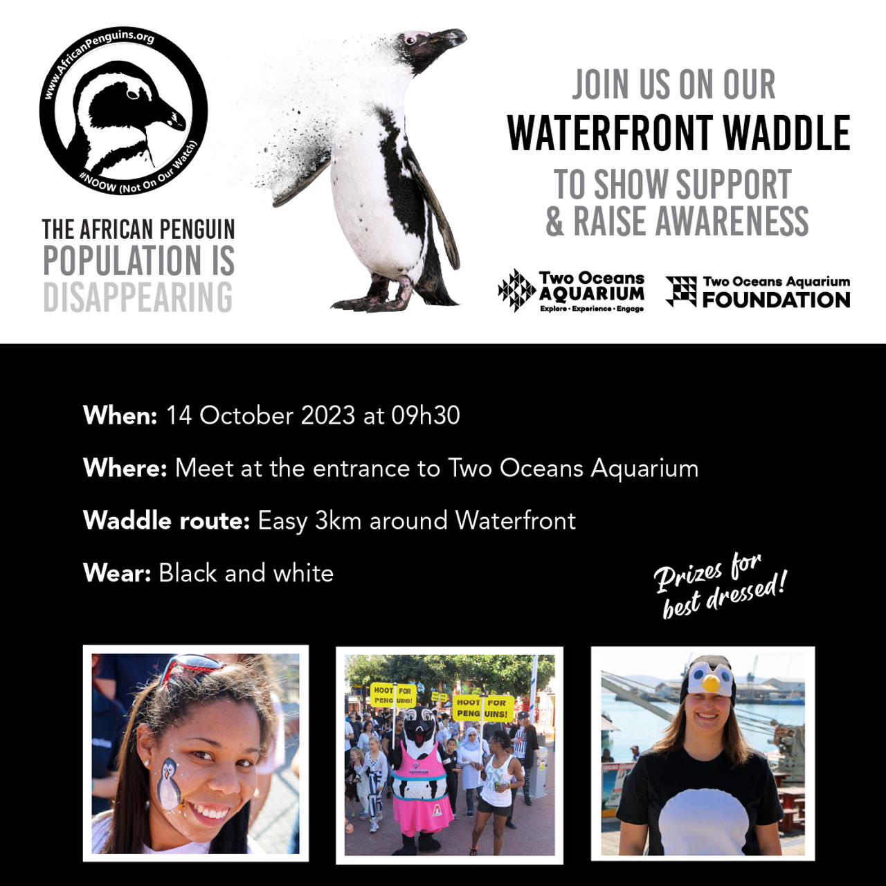 Artboard 1 1 97abba0a76129fecff03f4ba945fd714